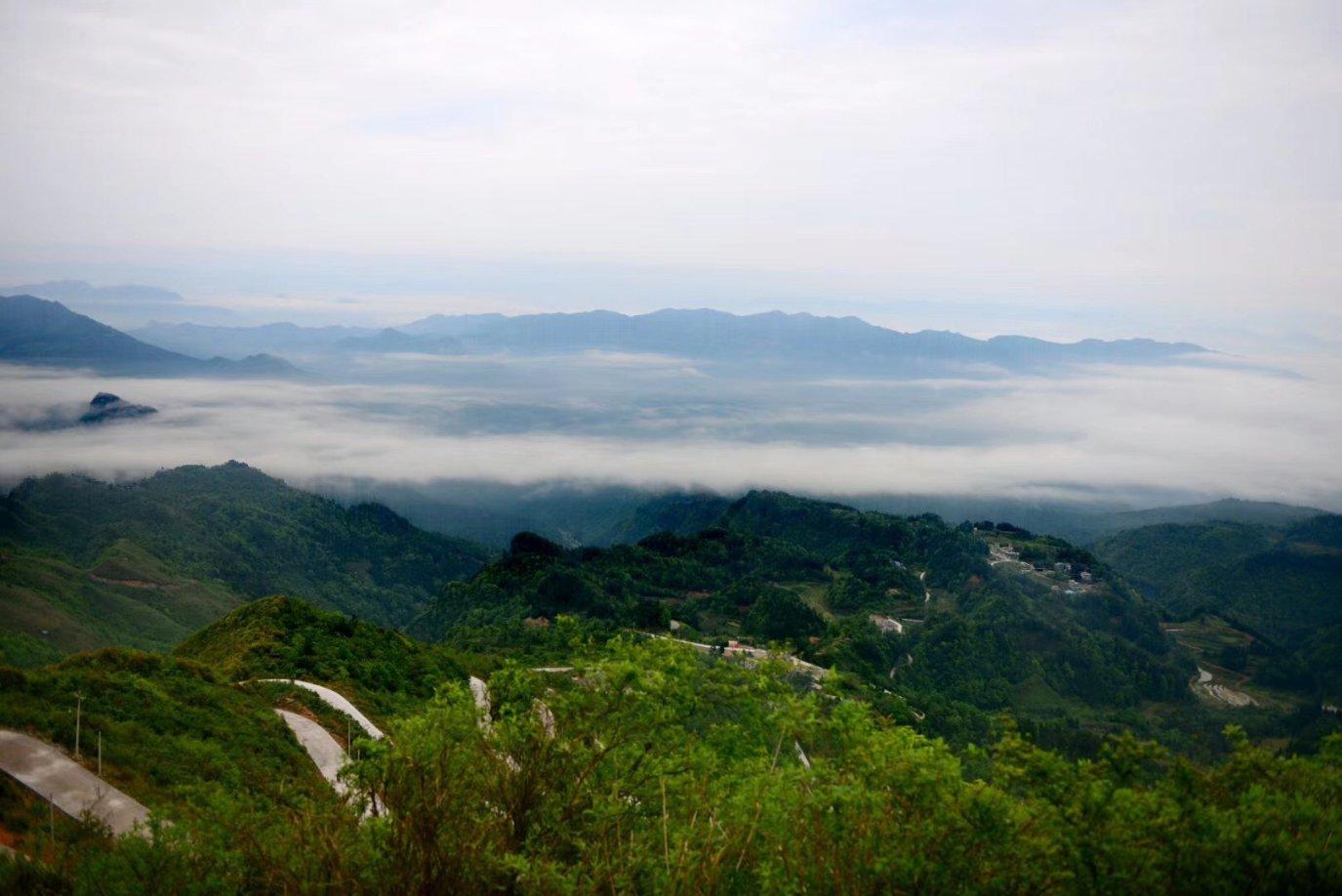 淘气兔救援